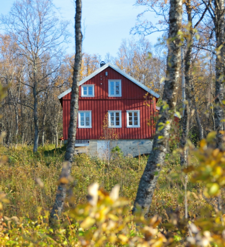 maison dans le bois