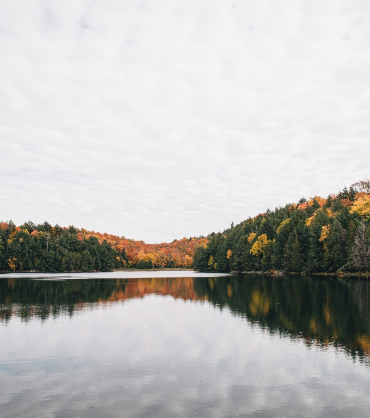 Lac avec foret boréale